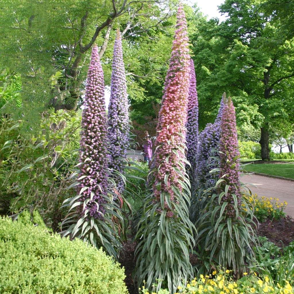 English Walled Garden | Glencoe, IL 60022, USA