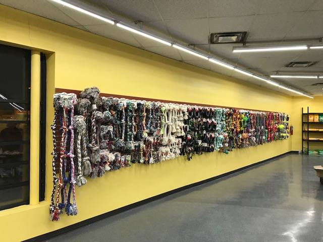 Detroit K-9 Pet supplies | 14777 Gratiot Ave, Detroit, MI 48205, USA | Phone: (313) 458-7722