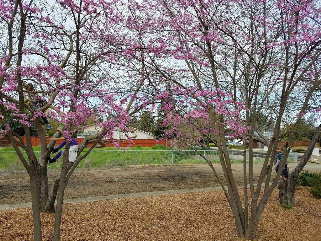 Diablo Shadows Park | Walnut Creek, CA 94598, USA