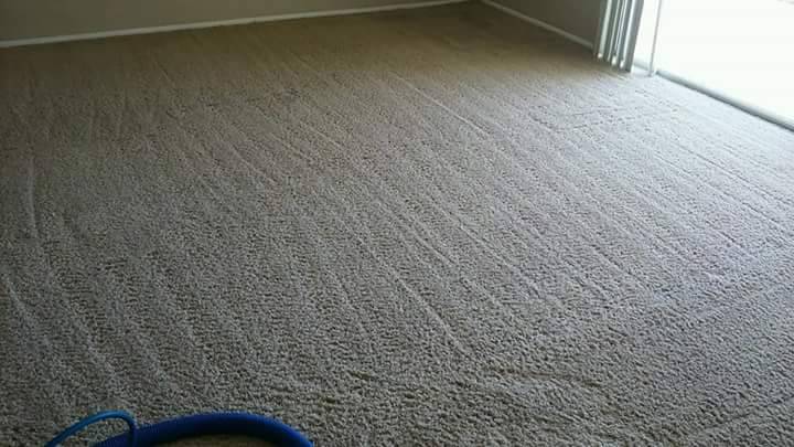 Sunshine Carpet Cleaners | 10602 N 38th St, Phoenix, AZ 85028, USA | Phone: (602) 550-4805