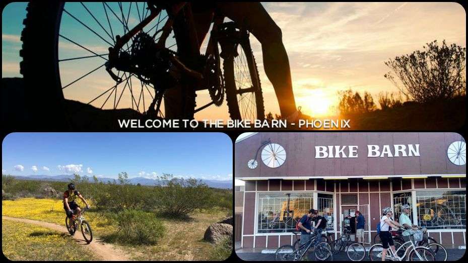 Bike Barn | 4112 N 36th St, Phoenix, AZ 85018, USA | Phone: (602) 956-3870