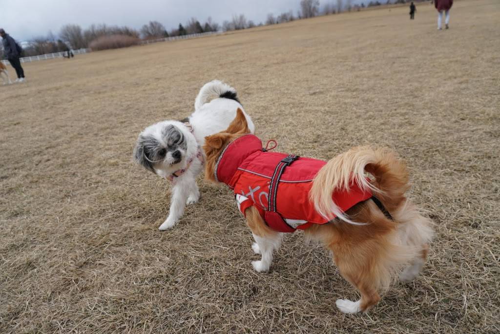 Off Leash Dog Park | 2398 Coleman Dr, Reno, NV 89503, USA | Phone: (775) 328-2000