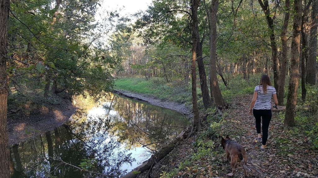 Humiston Woods Nature Preserve | 2100 North Rd , Pontiac, IL 61764, E 2100 N Rd, Pontiac, IL 61764, USA | Phone: (815) 844-5831