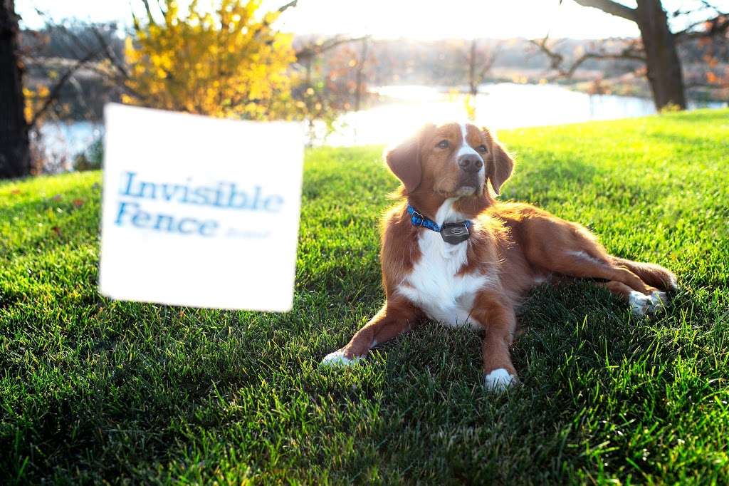 Invisible Fence of the Jersey Shore | 501 Delaware Ave, Egg Harbor Township, NJ 08234, USA | Phone: (609) 927-3353