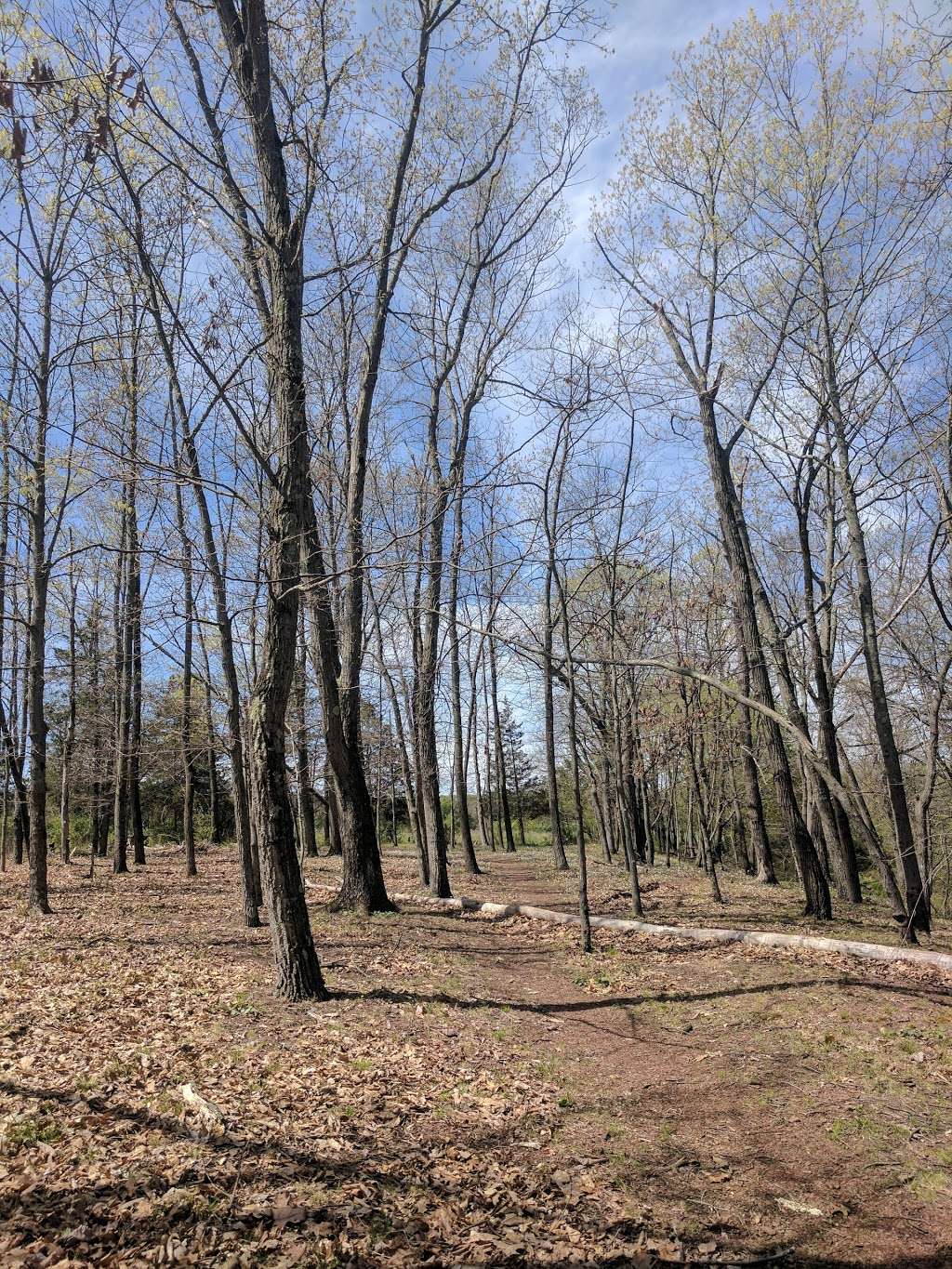 St. Michaels Farm Preserve | Hopewell, NJ 08525, USA