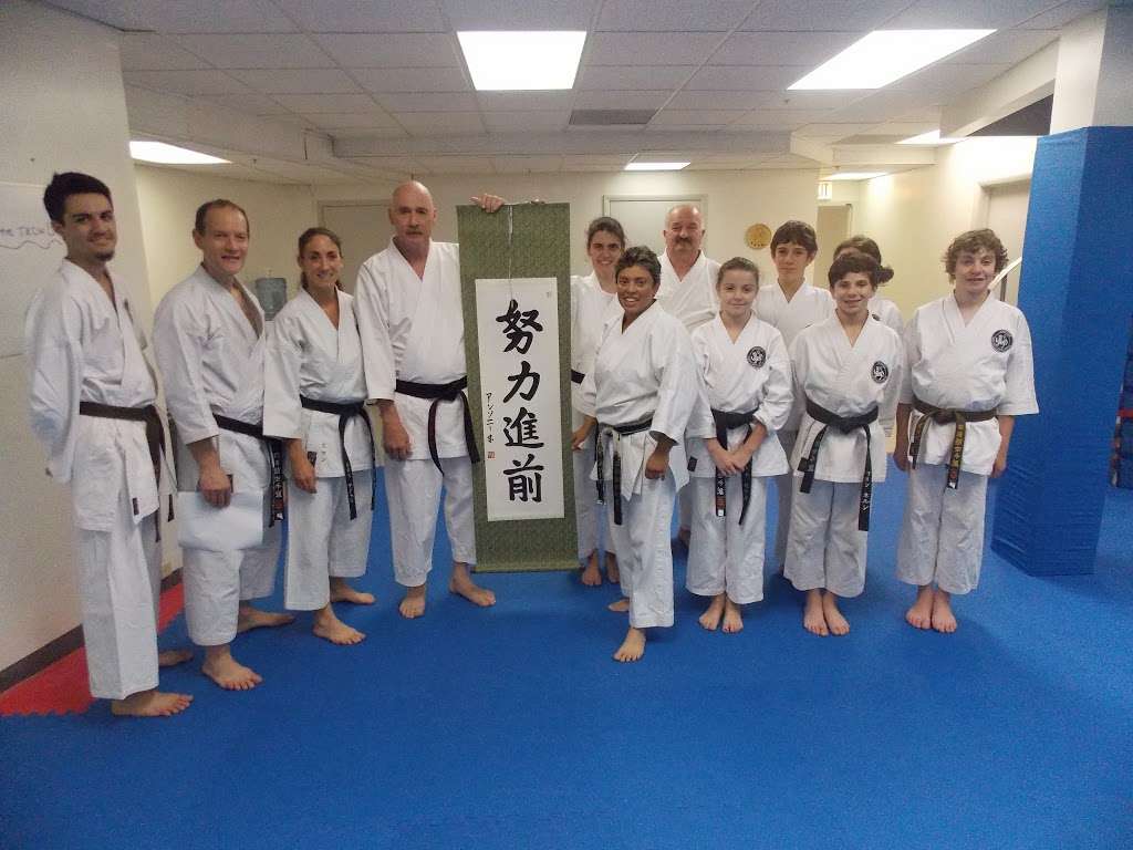 Traditional Karate Club of Wilmette | 3545 Lake Ave, Wilmette, IL 60091 | Phone: (847) 251-4800