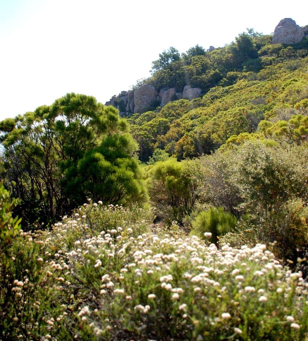 Mishe Mokwa Trailhead Parking Lot | Yerba Buena Rd, Westlake Village, CA 91361, USA