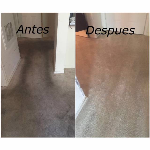 The Boss Carpet & Floor Cleaning, LLC | 2507 Exhall Ct, Chester, VA 23831, USA | Phone: (804) 922-2002