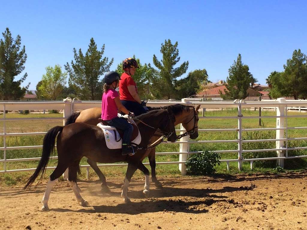 Leigh-Anns Riding Academy | 8025 Bermuda Rd, Las Vegas, NV 89123, USA | Phone: (702) 793-8363