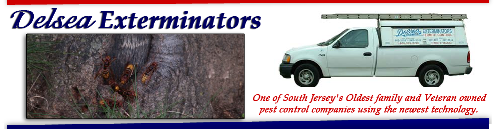 Delsea Exterminators | 654 Glassboro Rd, Williamstown, NJ 08094, USA | Phone: (856) 875-8712