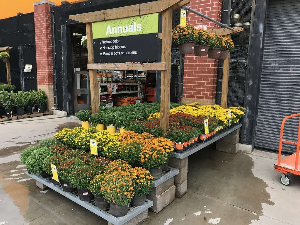 Garden Center at The Home Depot | 8400 Katy Fwy, Houston, TX 77024 | Phone: (713) 984-2741