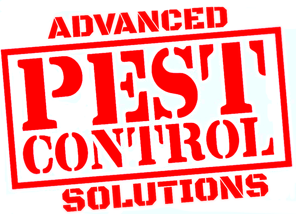 A1 Superheroes Pest Solutions | 2641 N Flamingo Rd Suite #1007, Fort Lauderdale, FL 33323, USA | Phone: (888) 245-2260