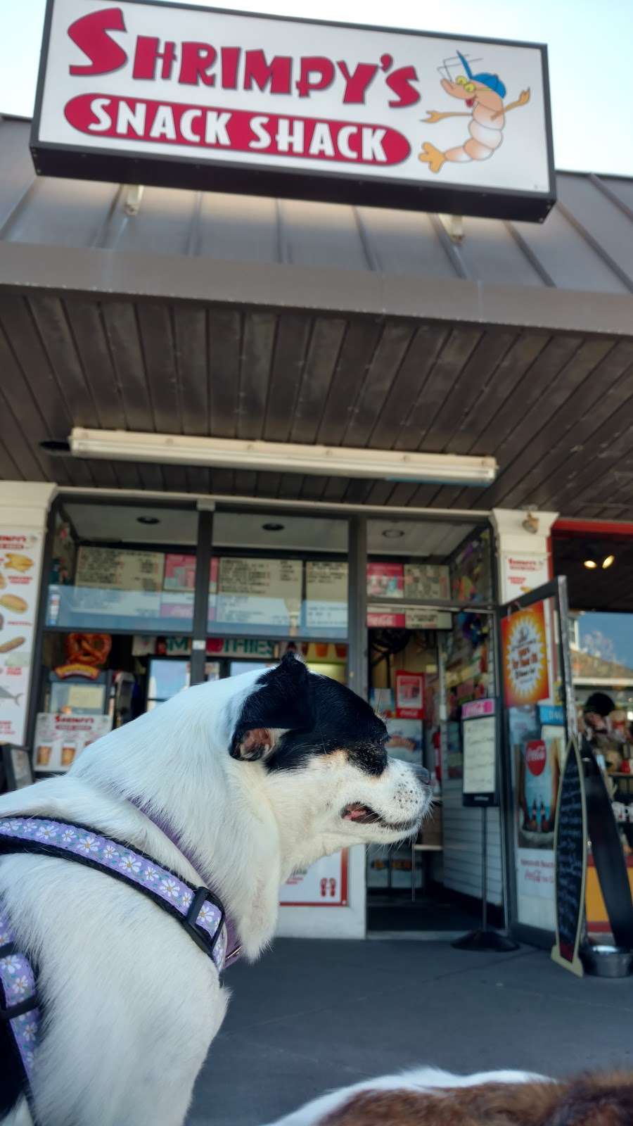 Shrimpys Snack Shack | 8 Rehoboth Ave, Rehoboth Beach, DE 19971 | Phone: (302) 227-3470