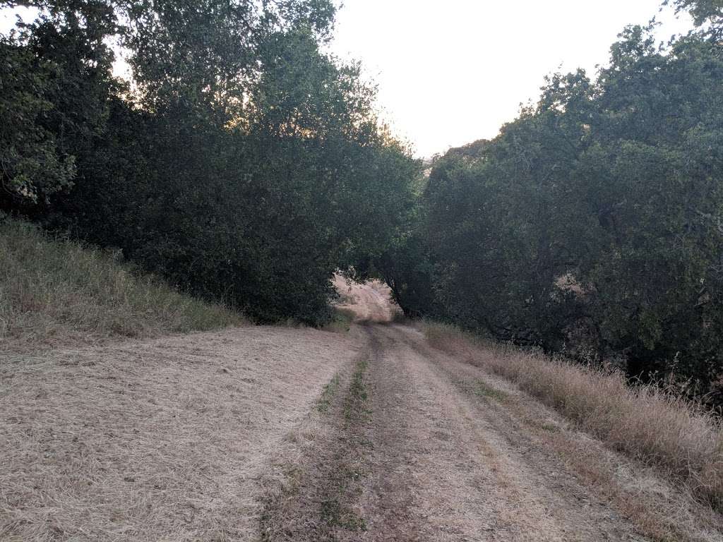 Nejedly Staging Area | Cal Riding & Hiking Trail, Martinez, CA 94553, USA | Phone: (510) 633-0460