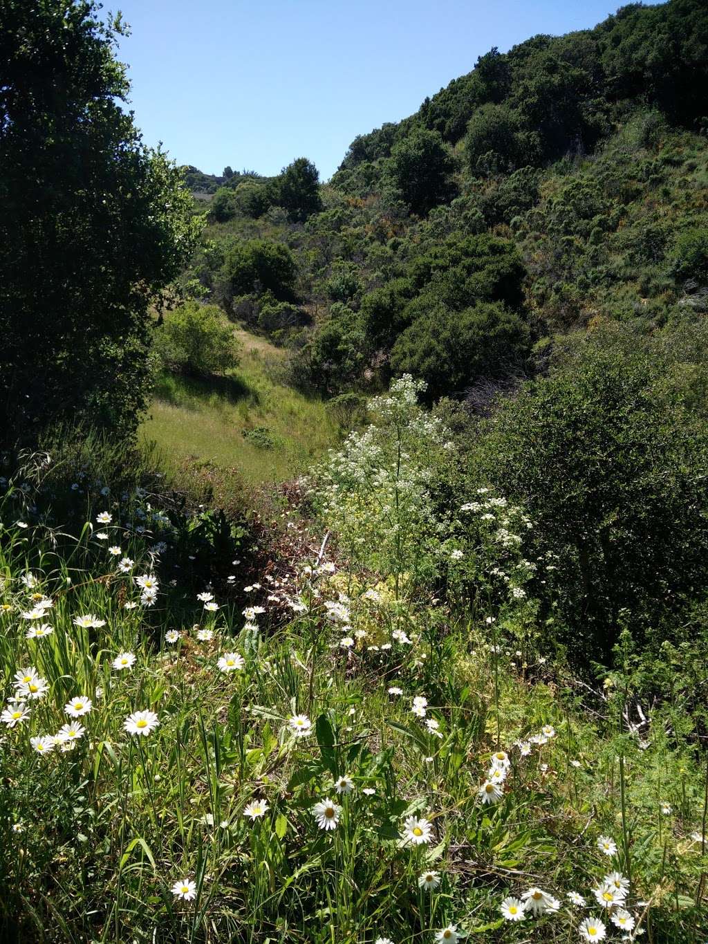 Water Dog Lake trail entrance | Lake Road Trail, Belmont, CA 94002, USA