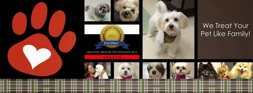 Rachel Anns Country Clips Pet Grooming | 2652 PA-940 #105, Pocono Summit, PA 18346, USA | Phone: (570) 839-6575