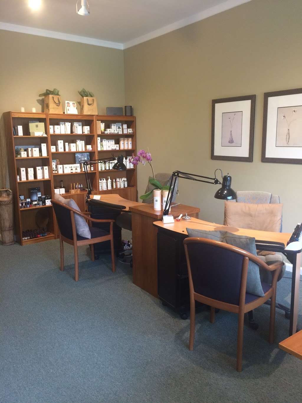 Haven Organic Skin and Nail Care | 717 Ridge Rd, Wilmette, IL 60091 | Phone: (847) 251-3930