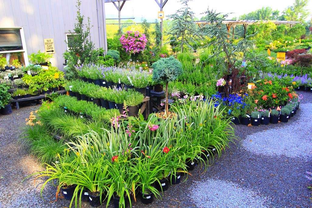 Rave Landscaping & Discount Plant Center | 621 Valley View Rd, Dallas, PA 18612, USA | Phone: (570) 675-4537