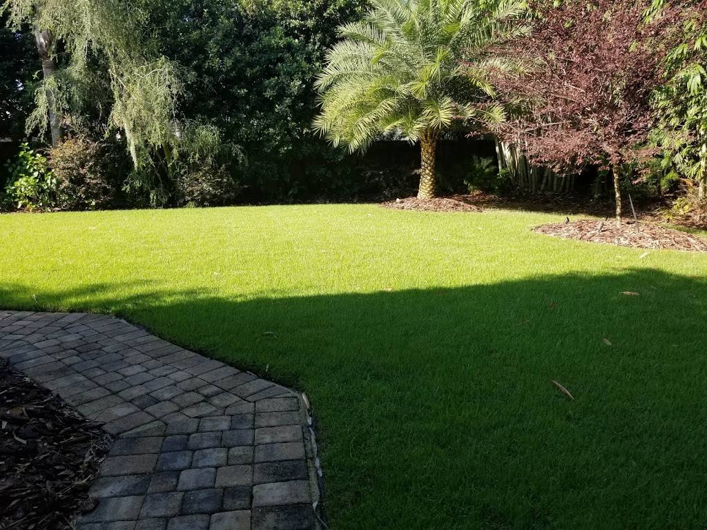 Maydays Lawn Termite Pest | 3710 Bear Gully Rd, Winter Park, FL 32792 | Phone: (407) 539-2900