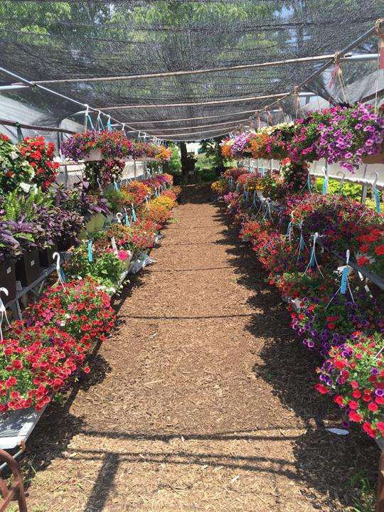 M & D Farms And Garden Center | 14946 S Bell Rd, Homer Glen, IL 60491, USA | Phone: (708) 935-1715