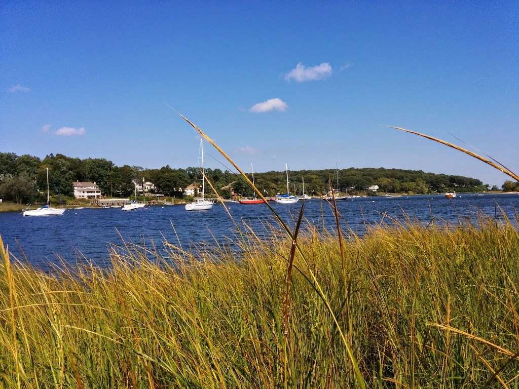 Phragmites Park | 24 Fort Salonga Rd, Centerport, NY 11721, USA | Phone: (631) 351-3000