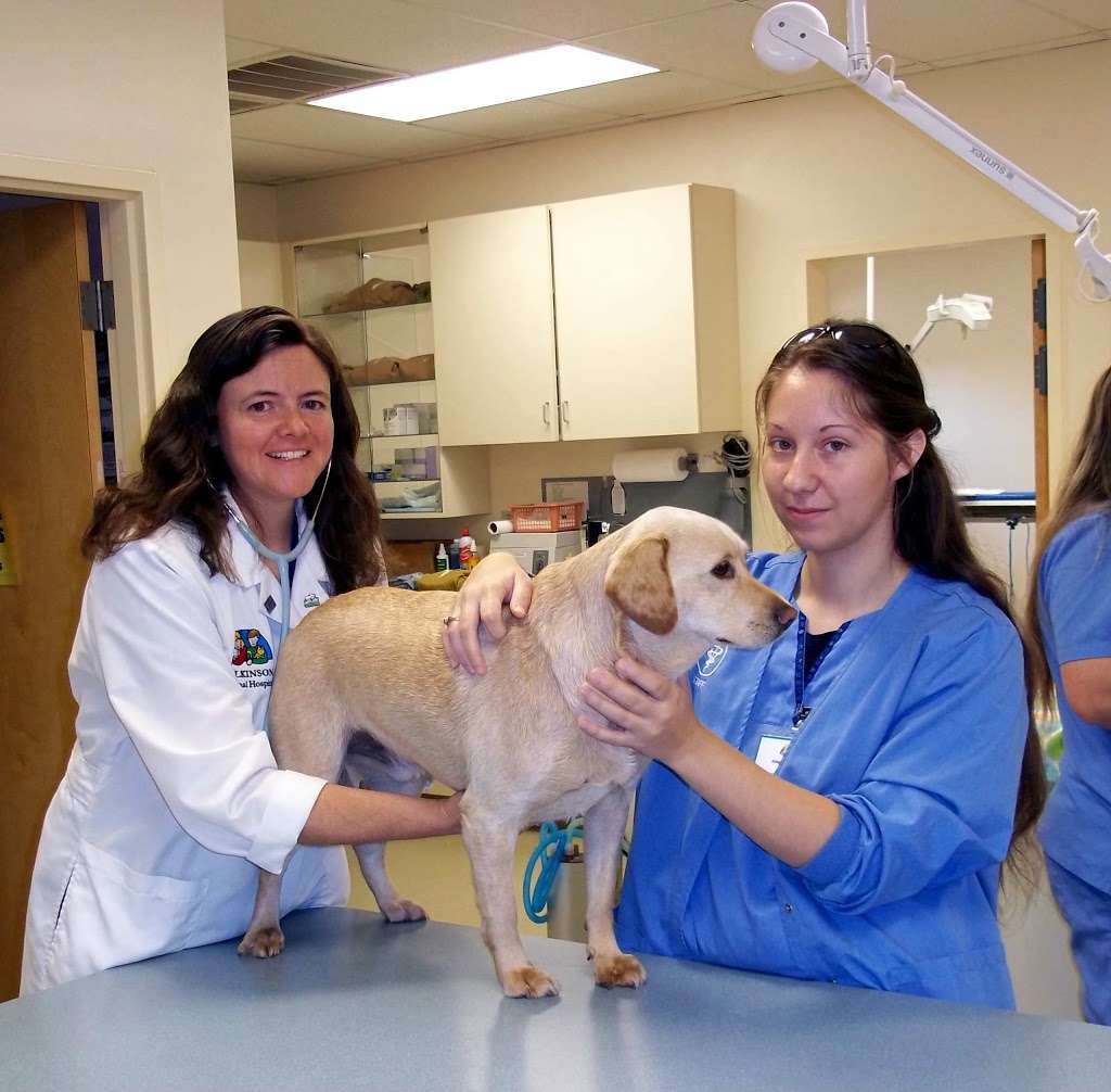 Wilkinson Animal Hospital | 513 Ledwell St, Gastonia, NC 28056, USA | Phone: (704) 824-9876