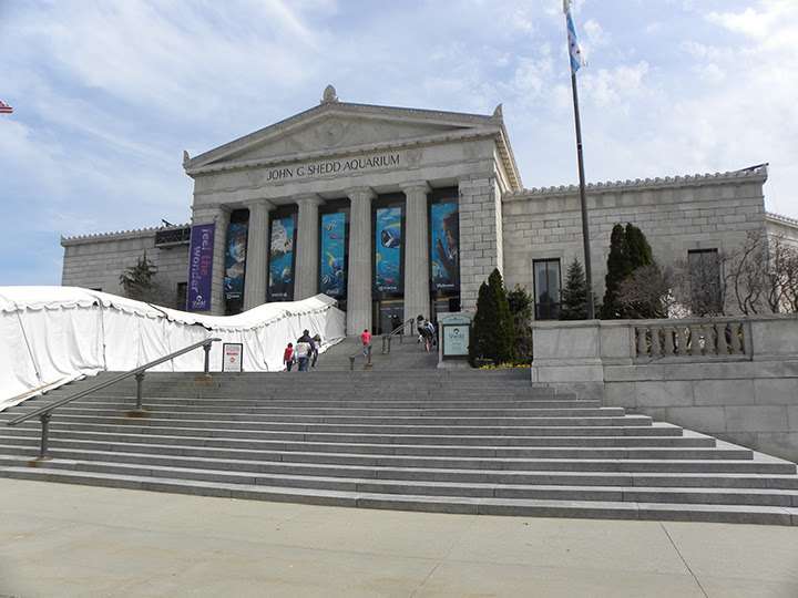 Shedd Aquarium | 1200 S Lake Shore Dr, Chicago, IL 60605 | Phone: (312) 939-2438