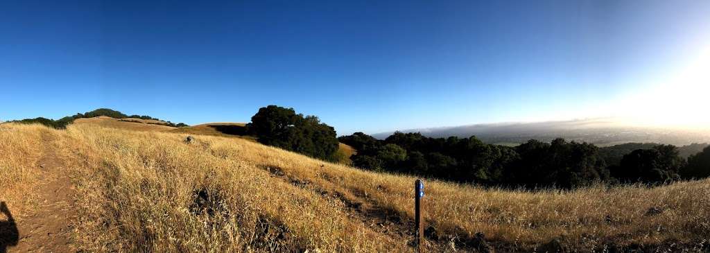 Taylor Mountain Regional Park | 2080 Kawana Terrace, Santa Rosa, CA 95404, USA | Phone: (858) 204-0220