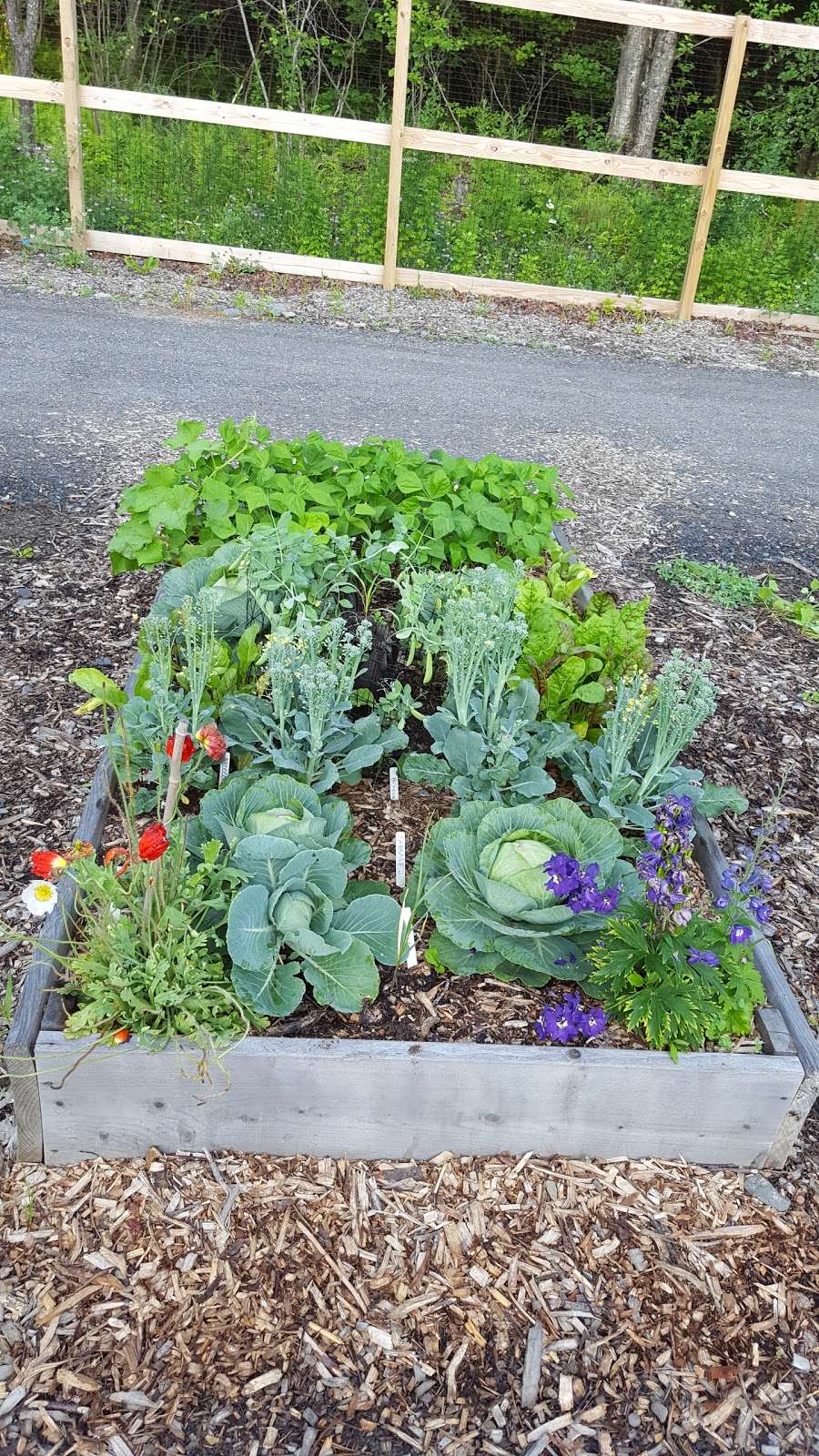 Middle Smithfield Township Community Gardens Park | Coolbaugh Rd, East Stroudsburg, PA 18302 | Phone: (570) 223-8920