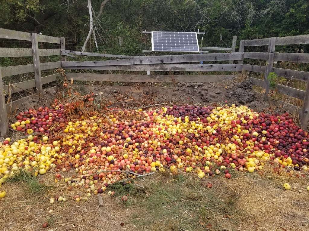 Swanton Pacific Ranch U-Pick Apples | 473-475 Swanton Rd, Davenport, CA 95017, USA | Phone: (831) 458-5410