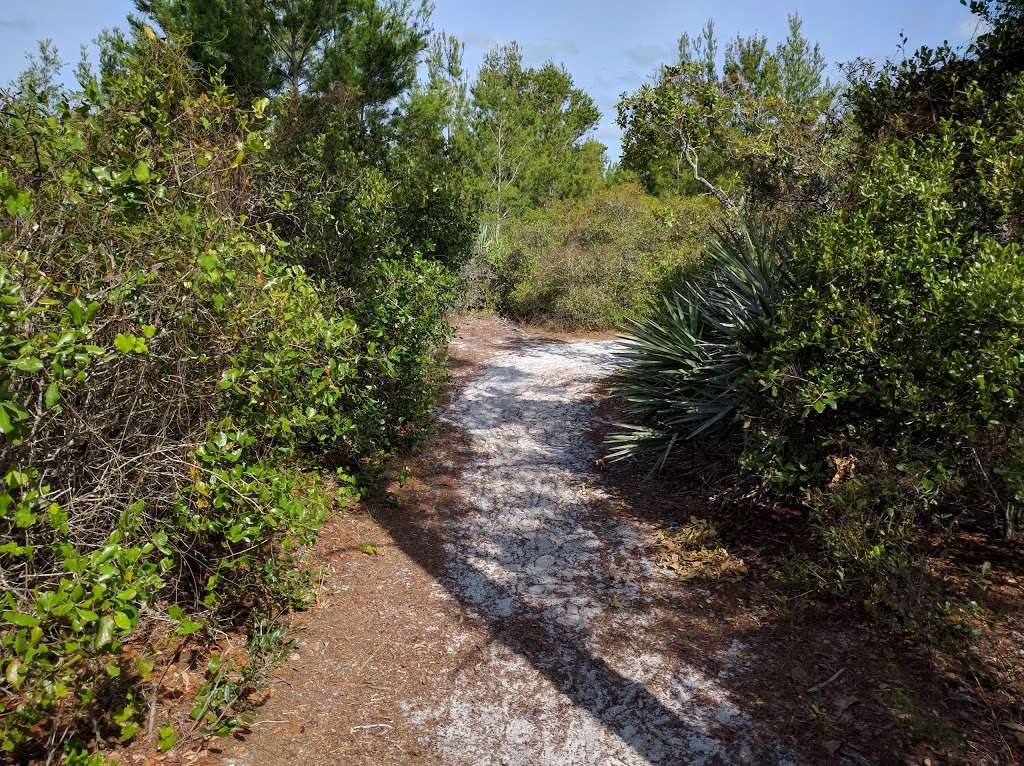 Blazing Star Preserve | 1751 W Camino Real, Boca Raton, FL 33486 | Phone: (561) 338-1473