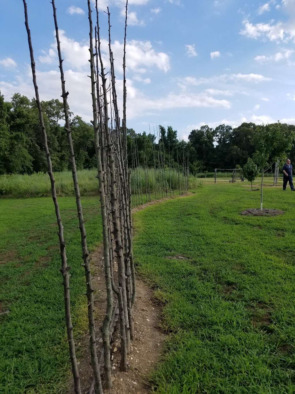 patuxent river park visitor center and museum for jug bay natura | 16000 Croom Airport Rd, Upper Marlboro, MD 20772, USA