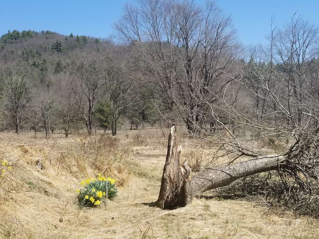 ForEvergreen Nature Preserve | East Stroudsburg, PA 18301