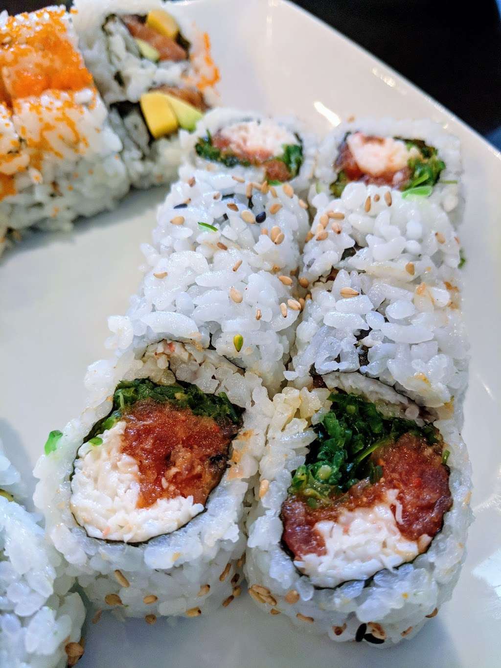 Sushi monster | 4225 Sienna Pkwy, Missouri City, TX 77459 | Phone: (832) 440-7423