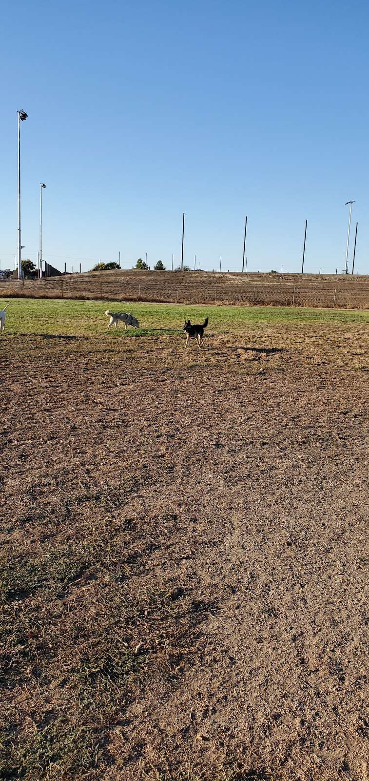 Hall Park Off Leash Dog Park | Dixon, CA 95620, USA