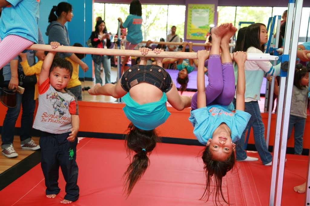 Pacific West Gymnastics | 42656 Albrae St, Fremont, CA 94538 | Phone: (510) 471-0240