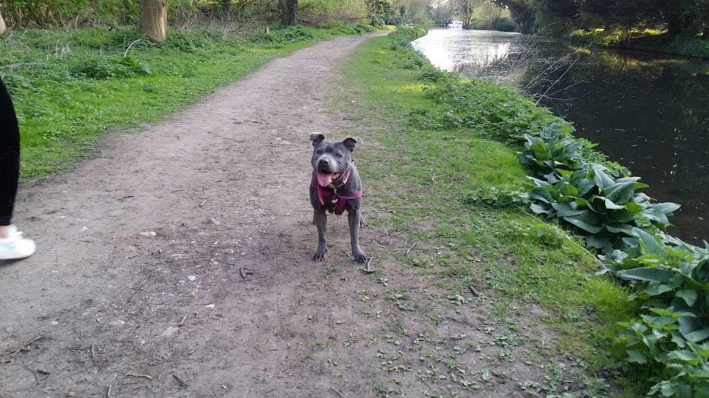 Rushy Mead Nature Reserve | Bishops Stortford CM22 7QJ, UK