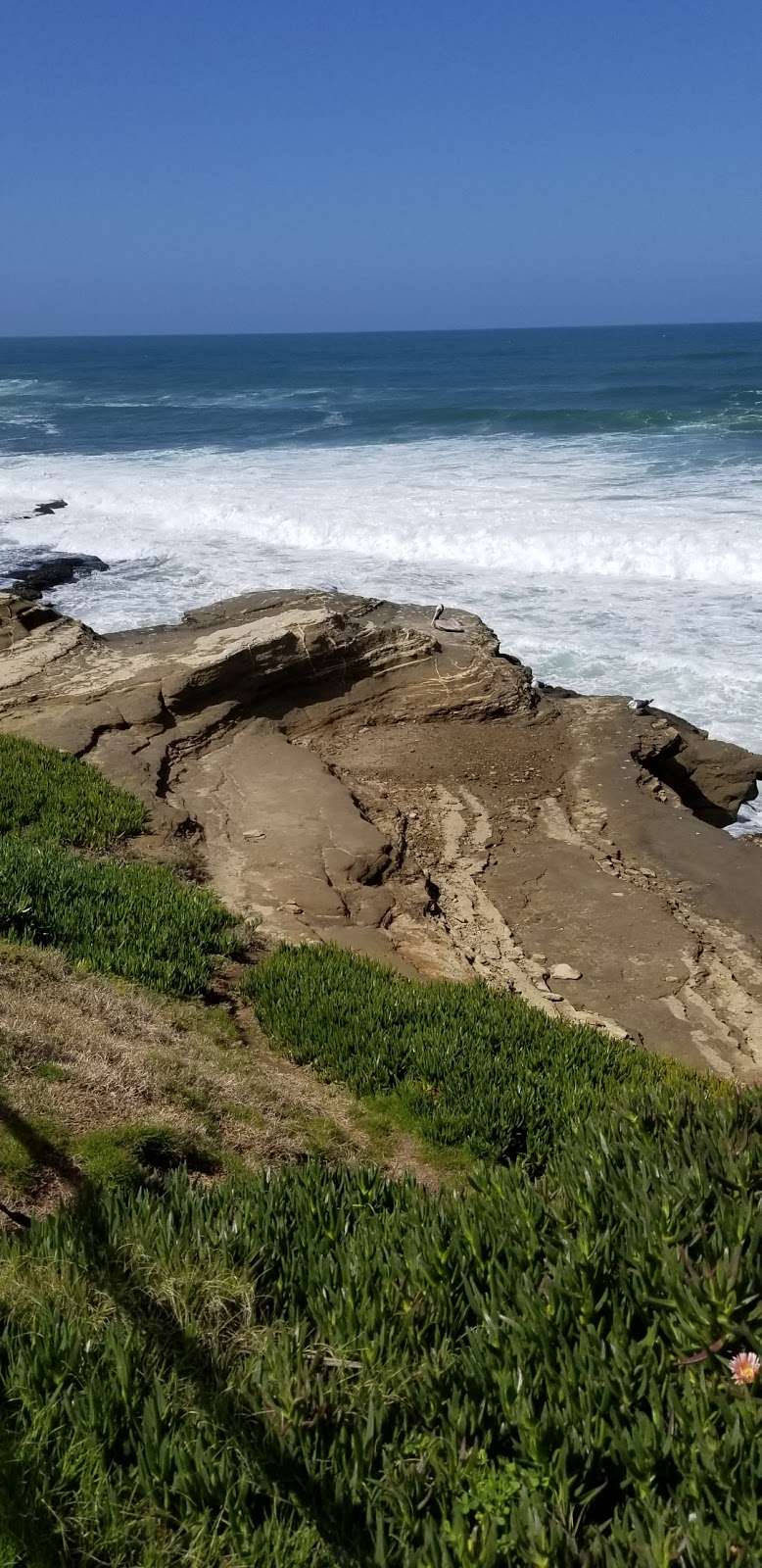 South Boundary Of Matlahuayl MPA | 1160 Coast Blvd, La Jolla, CA 92037, USA