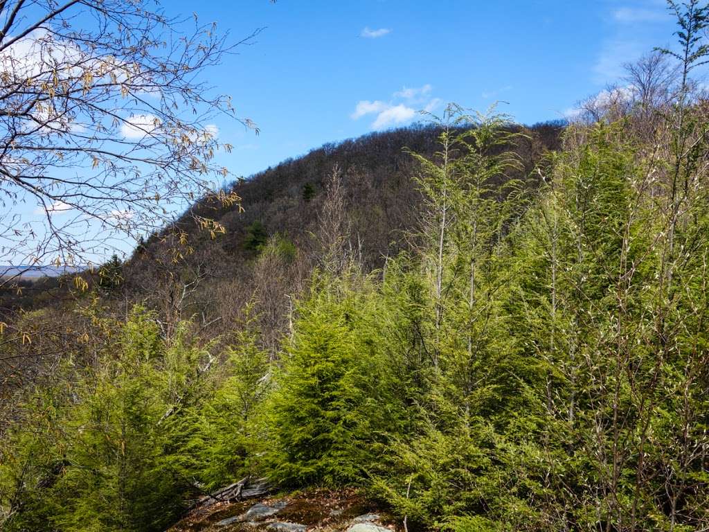 Arden Surebridge Trail (red markers) | Tuxedo, NY 10975