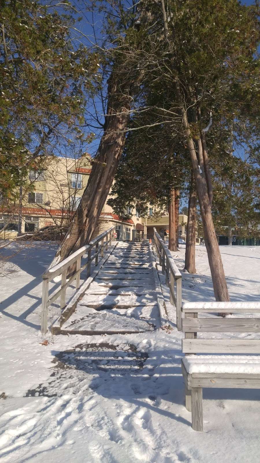 Lakewood Courtyard | 52 Madison Ave # 1, Lakewood, NJ 08701, USA | Phone: (732) 905-2055