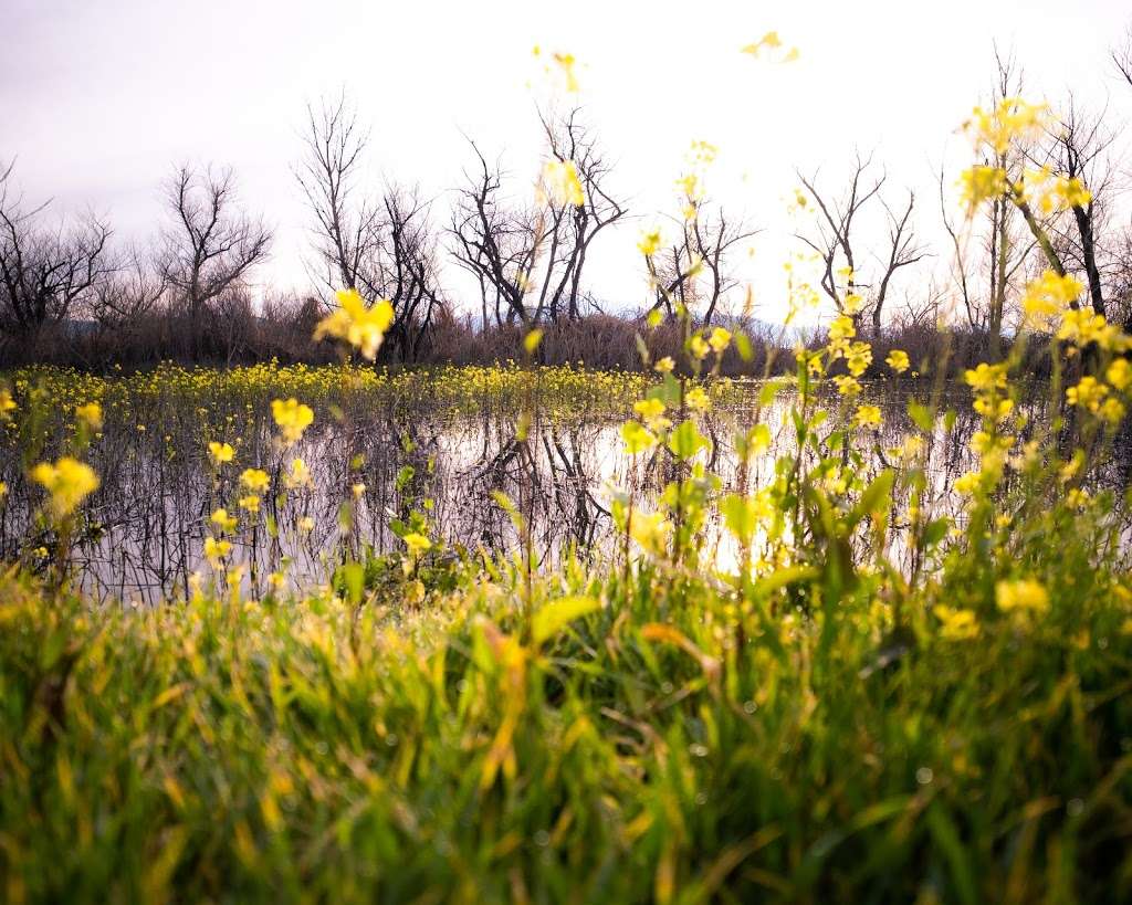 San Jacinto Wildlife Area | 17050 Davis St, Lakeview, CA 92567, USA | Phone: (951) 928-0580