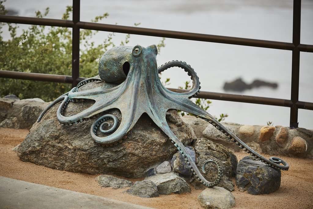 Casey Parlette Sculpture Art | 2307 Laguna Canyon Rd, Laguna Beach, CA 92651, USA | Phone: (949) 812-2916