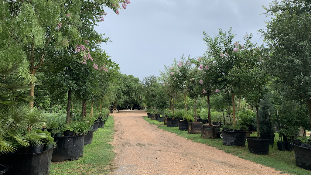 Garcias Tree Sales | 17420 West Loop 1604 South, Von Ormy, TX 78073, USA | Phone: (210) 622-0056