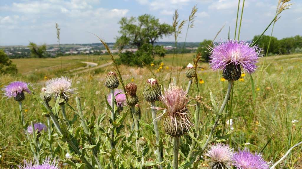 Coalton Trailhead | 3495 McCaslin Blvd, Louisville, CO 80027, USA