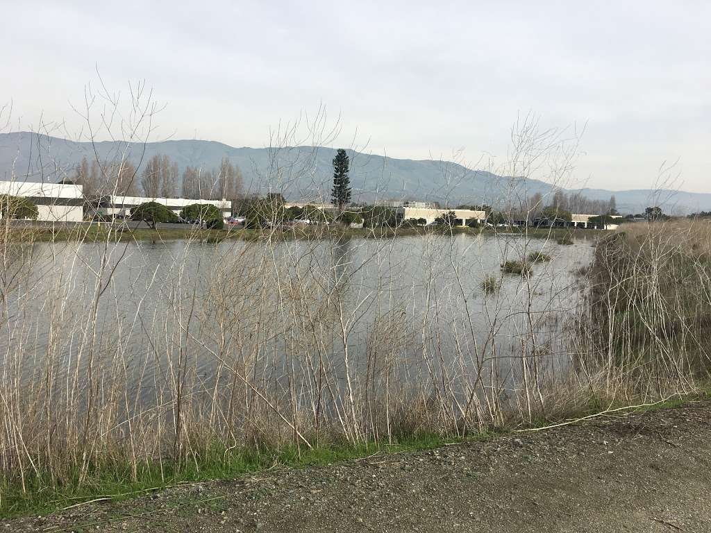 Coyote Creek Lagoon Trail | Fremont, CA 94538, USA