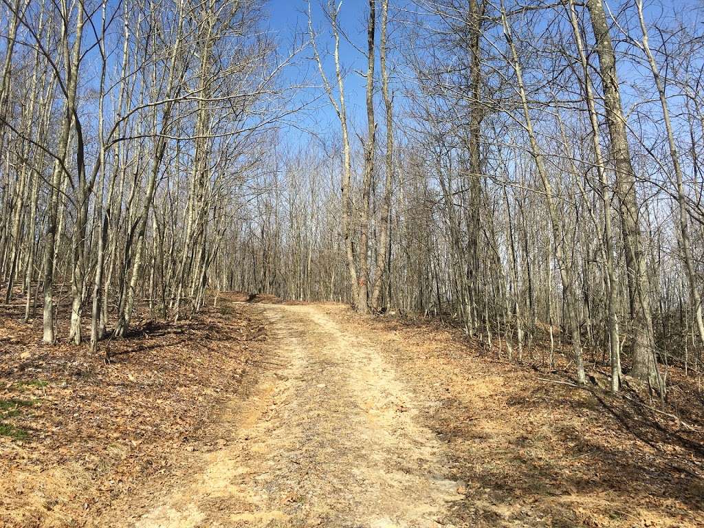 Sideling Hill State Forest Picnic Area | 2371 Lincoln Hwy, Breezewood, PA 15533, USA