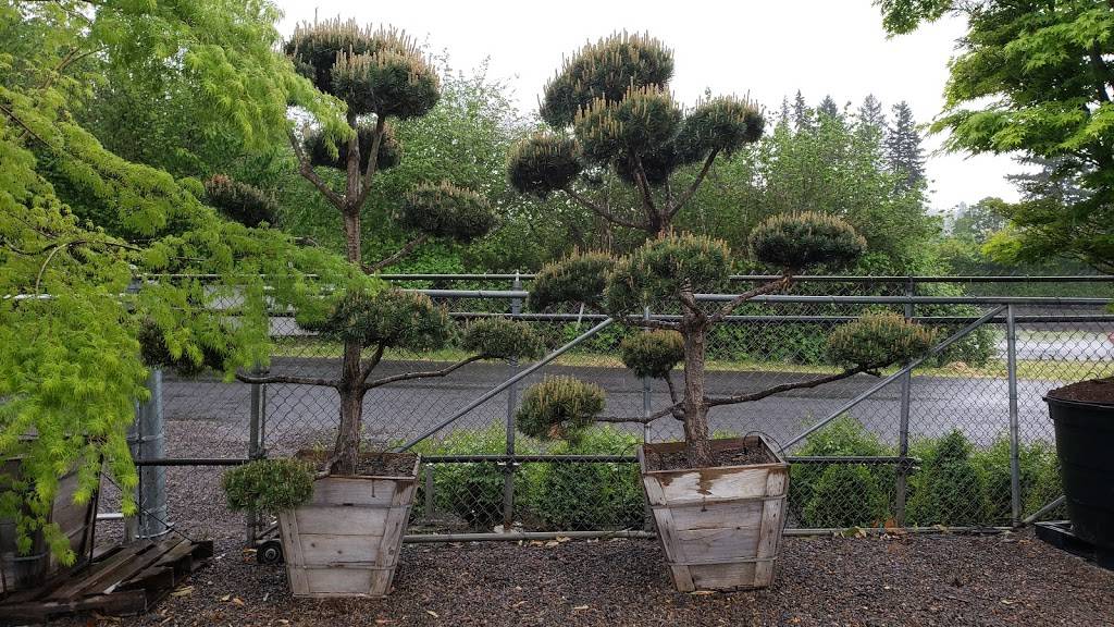 Loen Nursery Garden Center | 18710 SW Pacific Dr, Sherwood, OR 97140, USA | Phone: (503) 625-2222