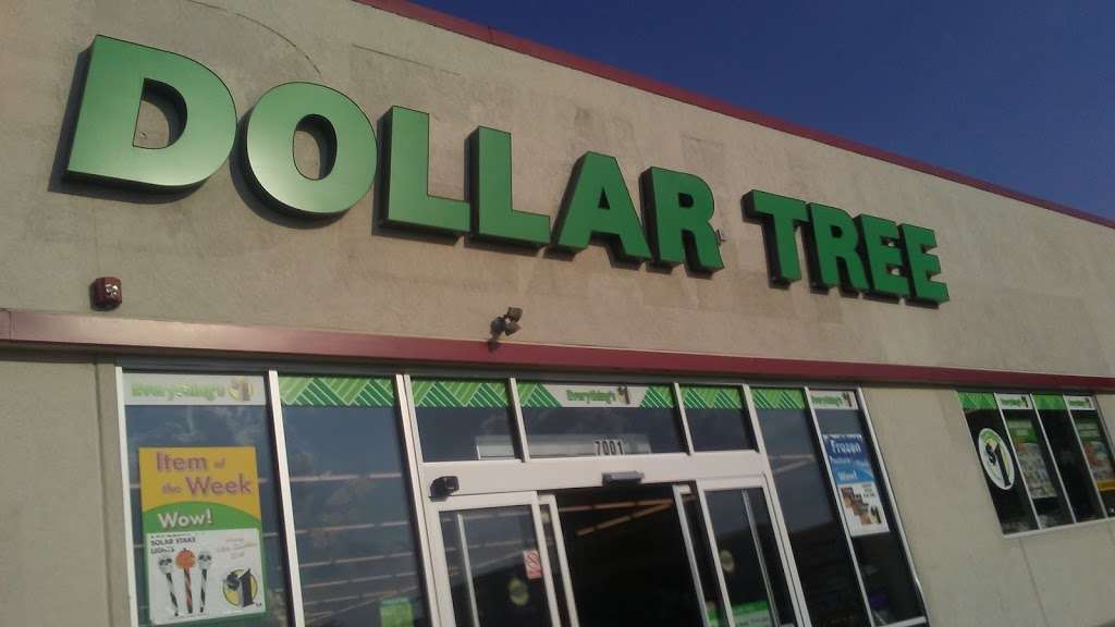 Dollar Tree | 7001 Cermak Rd, Berwyn, IL 60402, USA | Phone: (708) 797-0004