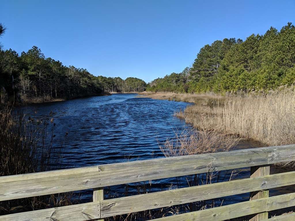 Fresh Pond Trail Head | DE-1, Bethany Beach, DE 19930 | Phone: (302) 227-2800