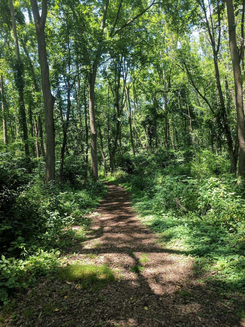 Bernadette Morales Nature Preserve | 103 Capner St, Flemington, NJ 08822, USA | Phone: (908) 782-1158